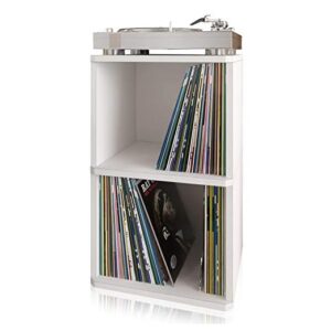 Way Basics Vinyl Record Storage - 2 Tier Book Shelf Turntable Stand (Fits 170 Albums)